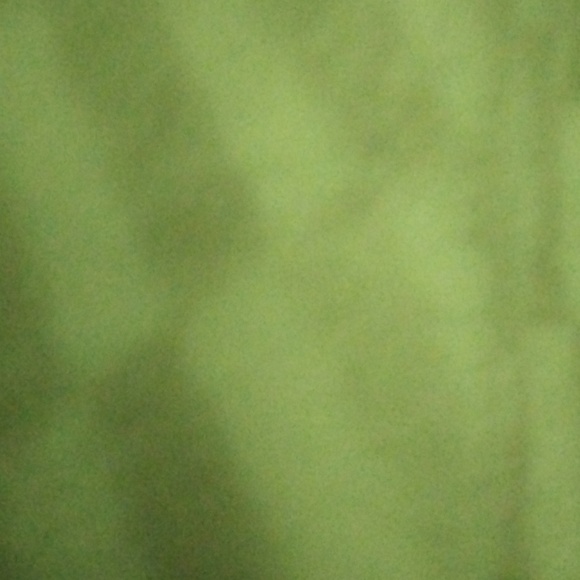 Meet your Posher, Dakota - Picture 1 of 1